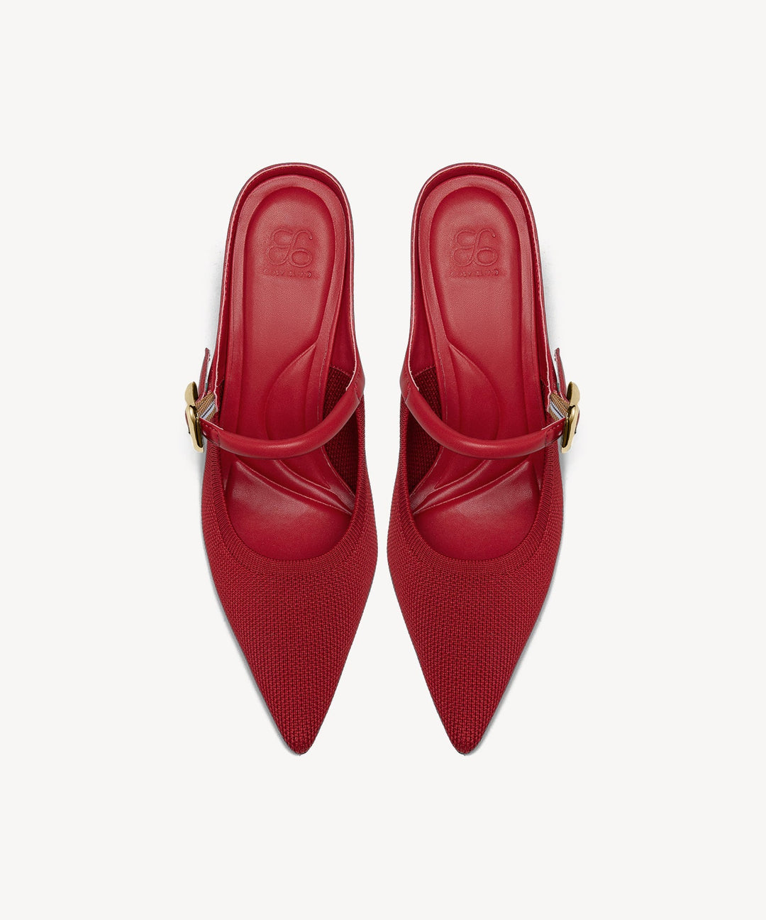 Brittanny Pointed Toe Heeled Mule