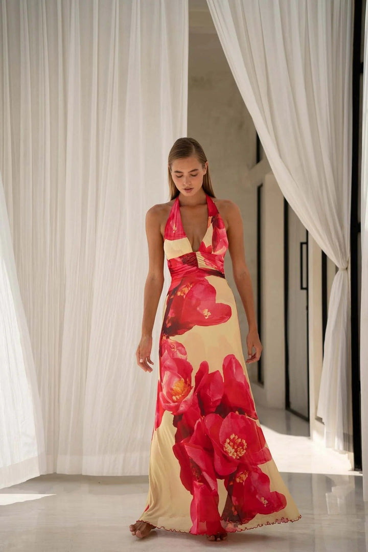Camoni Polka Dot Diary Maxi Dress