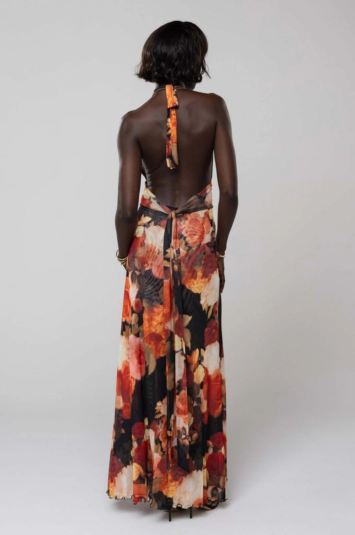 Camoni Polka Dot Diary Maxi Dress